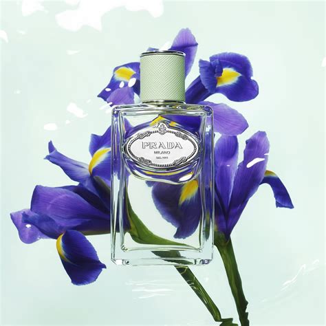 prada fragrance iris|Prada iris perfume sephora.